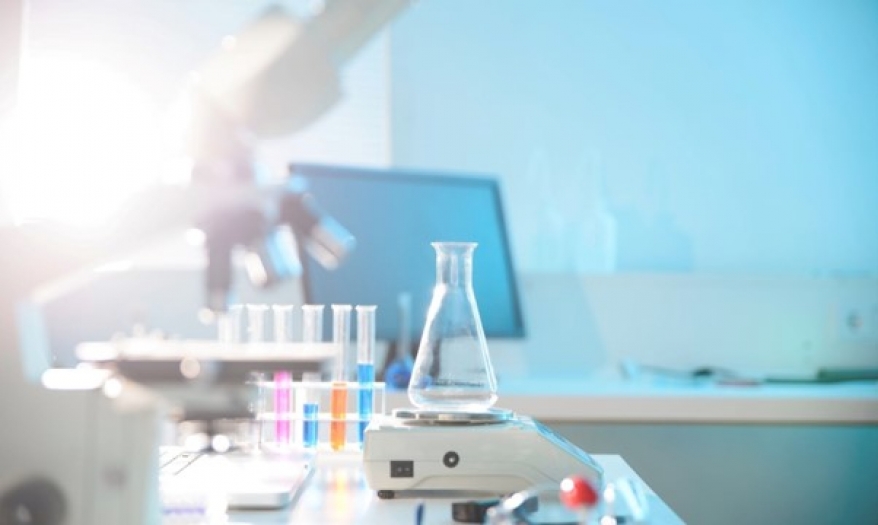 Shaping a Stronger European Research Area: Eurodoc Voices Early Career Researchers’ Perspectives on the ERA Act